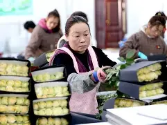独家：库里俱乐部赛事进球助(球队库里)|MW捕鱼官网
